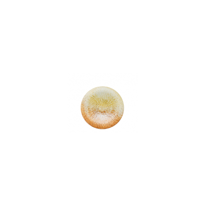螢幕擷取畫面 2025-03-05 095202.png